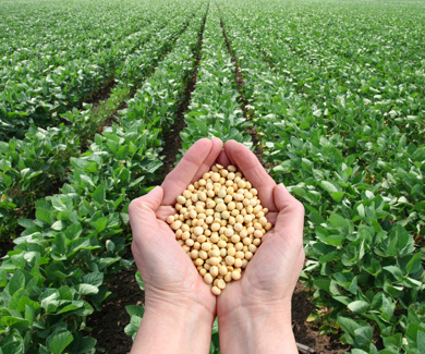 Verlenging van de erkenning van het supply chain-model